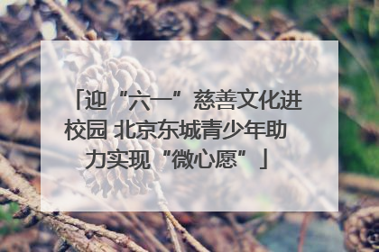 迎“六一”慈善文化进校园 北京东城青少年助力实现“微心愿”