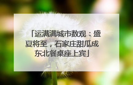 运满满城市数观：盛夏将至，石家庄甜瓜成东北餐桌座上宾