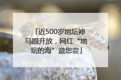 近500岁地坛神马圈开放，网红“地坛的海”邀您尝