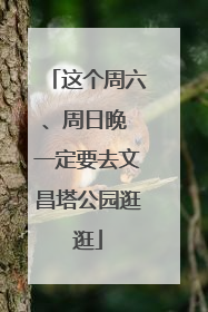 这个周六、周日晚 一定要去文昌塔公园逛逛