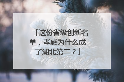 这份省级创新名单，孝感为什么成了湖北第二？