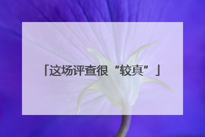 这场评查很“较真”