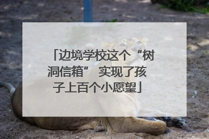 边境学校这个“树洞信箱” 实现了孩子上百个小愿望