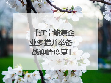辽宁能源企业多措并举备战迎峰度夏