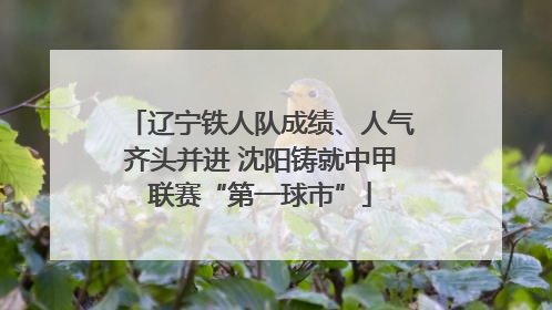 辽宁铁人队成绩、人气齐头并进 沈阳铸就中甲联赛“第一球市”
