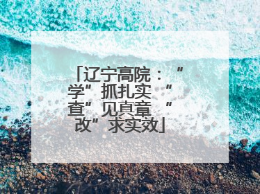 辽宁高院：“学”抓扎实 “查”见真章 “改”求实效