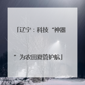 辽宁：科技“神器”为农田夏管护航