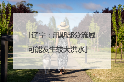 辽宁：汛期部分流域可能发生较大洪水
