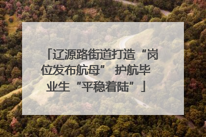 辽源路街道打造“岗位发布航母” 护航毕业生“平稳着陆”