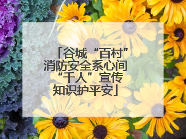 谷城“百村”消防安全系心间 “千人”宣传知识护平安
