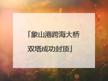 象山港跨海大桥双塔成功封顶