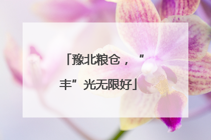 豫北粮仓，“丰”光无限好