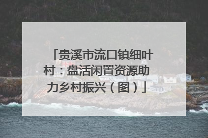 贵溪市流口镇细叶村：盘活闲置资源助力乡村振兴（图）