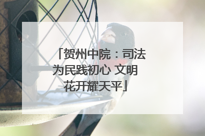 贺州中院：司法为民践初心 文明花开耀天平