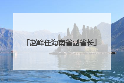 赵峰任海南省副省长
