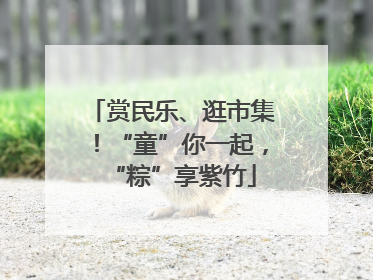 赏民乐、逛市集！“童”你一起，“粽”享紫竹