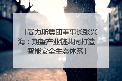赛力斯集团董事长张兴海：期望产业链共同打造智能安全生态体系
