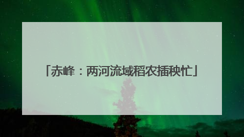 赤峰：两河流域稻农插秧忙