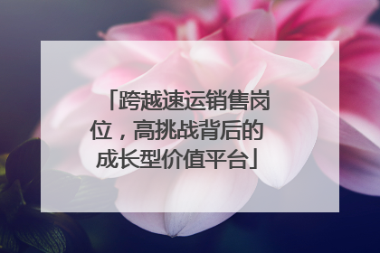 跨越速运销售岗位，高挑战背后的成长型价值平台