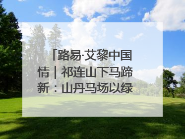 路易·艾黎中国情｜祁连山下马蹄新：山丹马场以绿色发展诠释“两山”理论实践