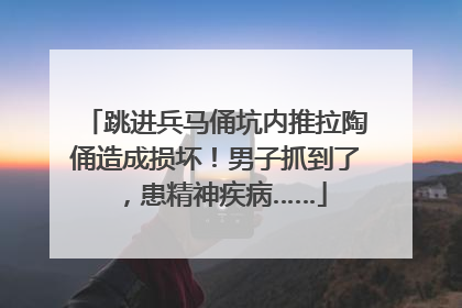 跳进兵马俑坑内推拉陶俑造成损坏！男子抓到了，患精神疾病……