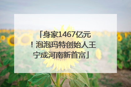 身家1467亿元！泡泡玛特创始人王宁成河南新首富