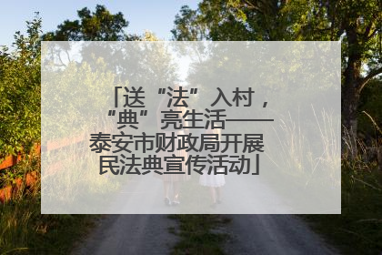 送“法”入村，“典”亮生活——泰安市财政局开展民法典宣传活动