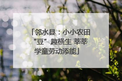 邻水县：小小农田“豆”趣横生 莘莘学童劳动添能