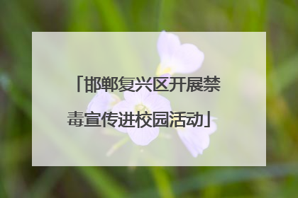 邯郸复兴区开展禁毒宣传进校园活动