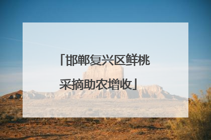 邯郸复兴区鲜桃采摘助农增收