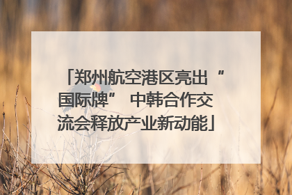 郑州航空港区亮出“国际牌” 中韩合作交流会释放产业新动能