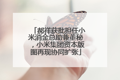 郝祥获批担任小米消金总助兼董秘，小米集团资本版图再现协同扩张