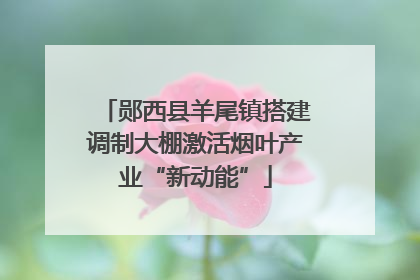 郧西县羊尾镇搭建调制大棚激活烟叶产业“新动能”