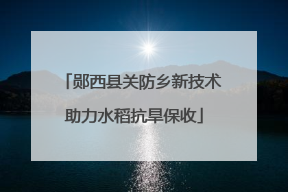 郧西县关防乡新技术助力水稻抗旱保收