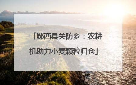 郧西县关防乡：农耕机助力小麦颗粒归仓