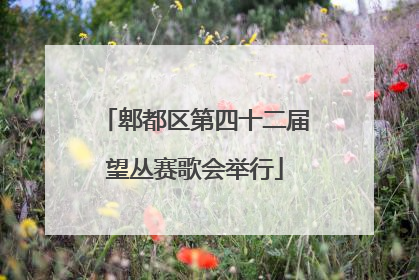 郫都区第四十二届望丛赛歌会举行
