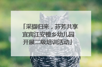 采撷归来，芬芳共享 宜宾江安橙乡幼儿园开展二级培训活动