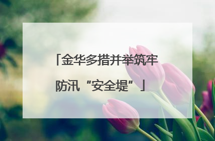 金华多措并举筑牢防汛“安全堤”