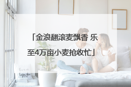 金浪翻滚麦飘香 乐至4万亩小麦抢收忙