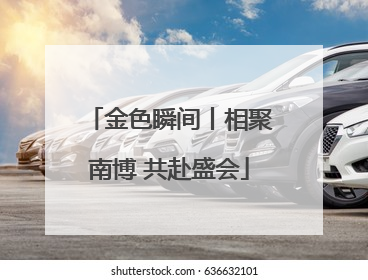 金色瞬间丨相聚南博 共赴盛会