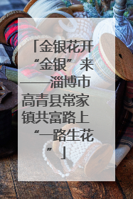 金银花开“金银”来——淄博市高青县常家镇共富路上“一路生花”