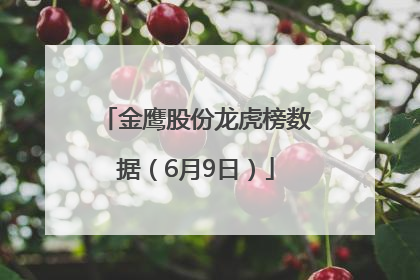 金鹰股份龙虎榜数据（6月9日）