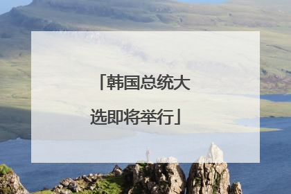 韩国总统大选即将举行