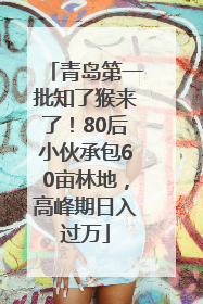 青岛第一批知了猴来了！80后小伙承包60亩林地，高峰期日入过万