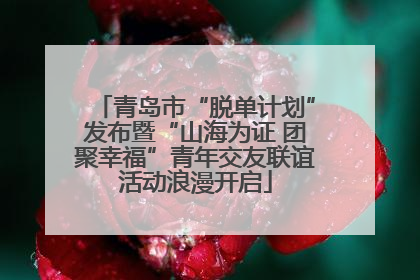 青岛市“脱单计划”发布暨“山海为证 团聚幸福”青年交友联谊活动浪漫开启