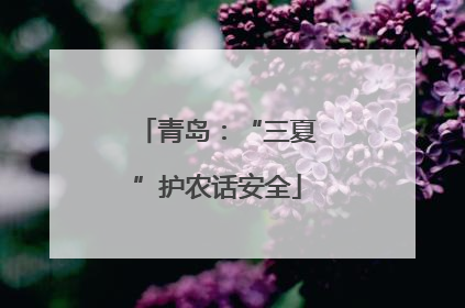 青岛：“三夏”护农话安全