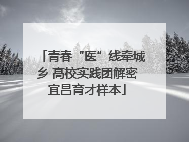青春“医”线牵城乡 高校实践团解密宜昌育才样本