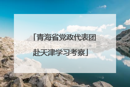 青海省党政代表团赴天津学习考察