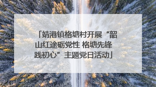 靖港镇格塘村开展“韶山红途砺党性 格塘先锋践初心”主题党日活动