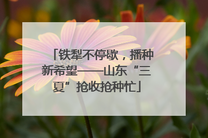 铁犁不停歇，播种新希望——山东“三夏”抢收抢种忙
